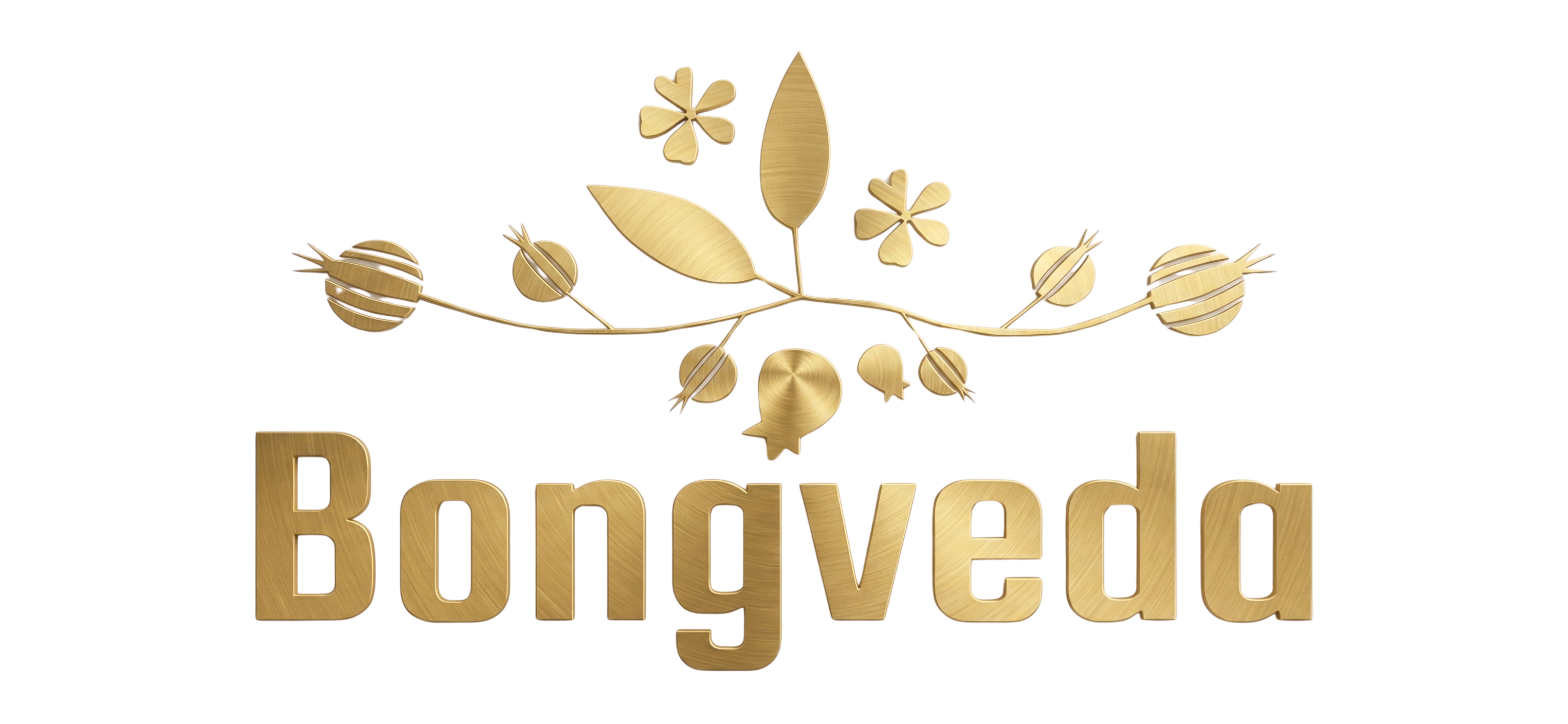 Bongveda Logo
